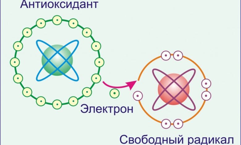 Как действуют свободные радикалы
