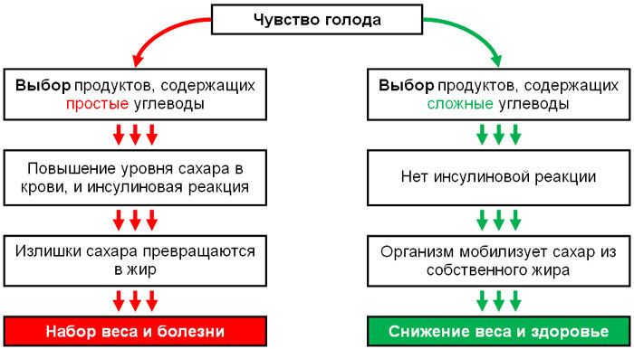 Простые и сложные углеводы в питании ребенка. Гликемический индекс продуктов. Какие продукты повышают уровень сахара в крови?