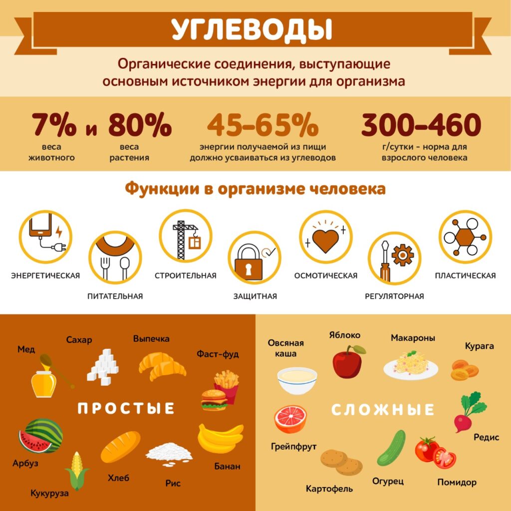 Простые и сложные углеводы в питании ребенка. Гликемический индекс продуктов. Какие продукты повышают уровень сахара в крови?