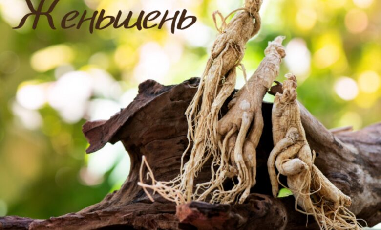 Белый императорский женьшень
